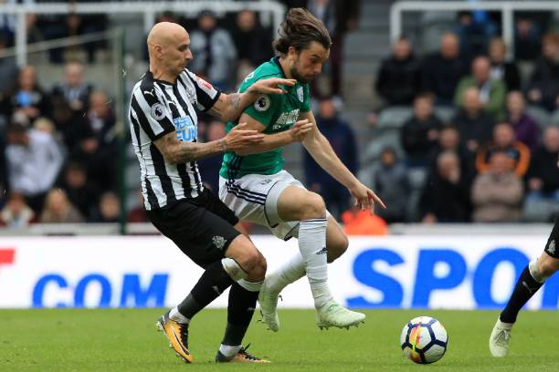 拥有着巨大 拥有着巨大