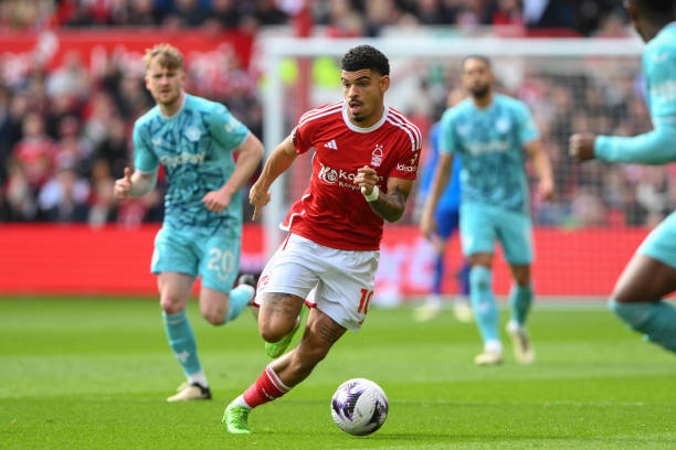 体育道德的 体育道德的