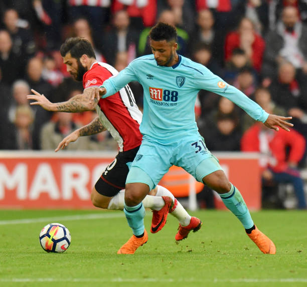 类似的种族 类似的种族